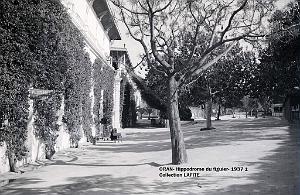 ORAN 1937 HYPPODROME DU FIGIER    (8)